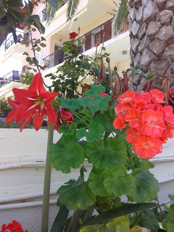 ניקיאנה Aggeliki Apartments חדר תמונה